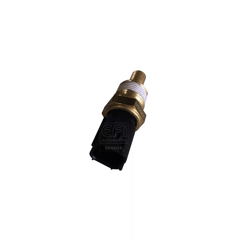 Sonde de température, liquide de refroidissement EFI AUTOMOTIVE 295068