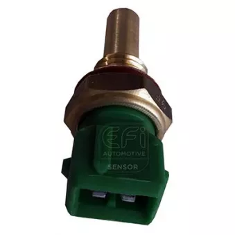 Sonde de température, liquide de refroidissement EFI AUTOMOTIVE 295076