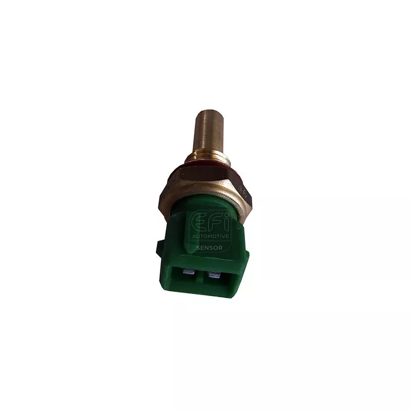 Sonde de température, liquide de refroidissement EFI AUTOMOTIVE 295076