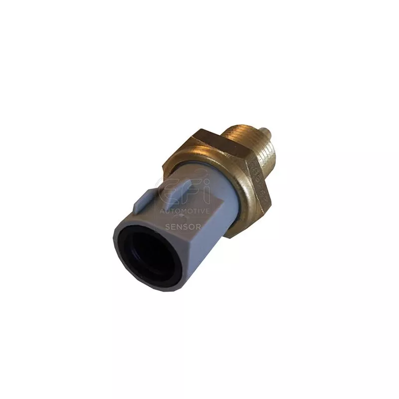 Sonde de température, liquide de refroidissement EFI AUTOMOTIVE 295085