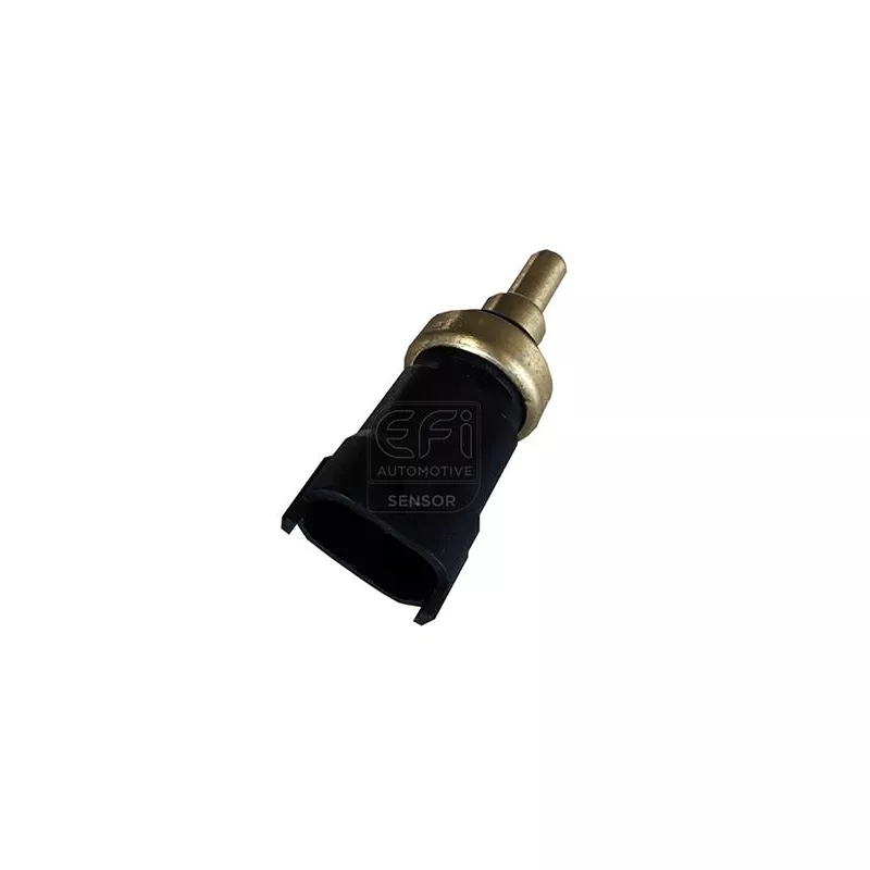 Sonde de température, liquide de refroidissement EFI AUTOMOTIVE 295098