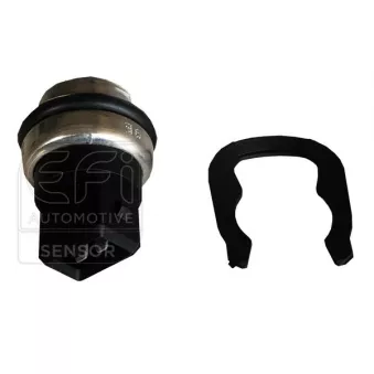 Sonde de température, liquide de refroidissement EFI AUTOMOTIVE 295127