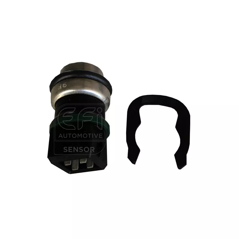 Sonde de température, liquide de refroidissement EFI AUTOMOTIVE 295130