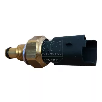 Capteur, température de carburant EFI AUTOMOTIVE 295138