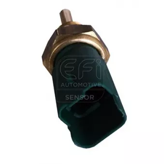 Sonde de température, liquide de refroidissement EFI AUTOMOTIVE 295139
