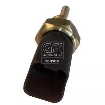 Sonde de température, liquide de refroidissement EFI AUTOMOTIVE 295141