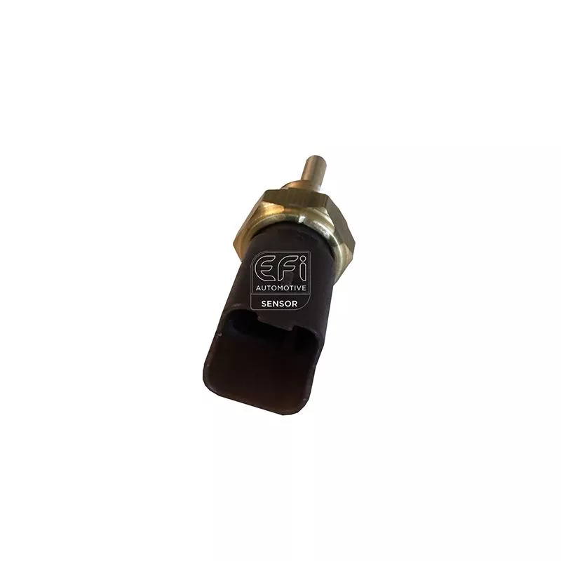 Sonde de température, liquide de refroidissement EFI AUTOMOTIVE 295141