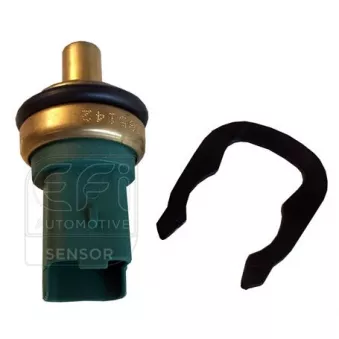 Sonde de température, liquide de refroidissement EFI AUTOMOTIVE 295142