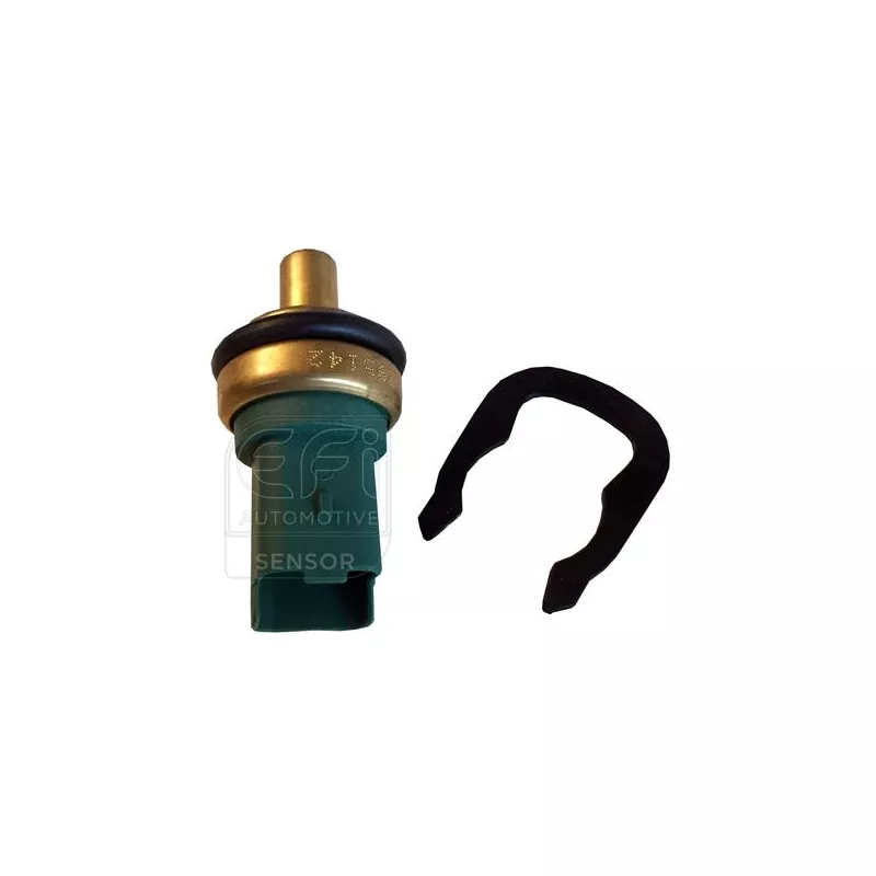 Sonde de température, liquide de refroidissement EFI AUTOMOTIVE 295142