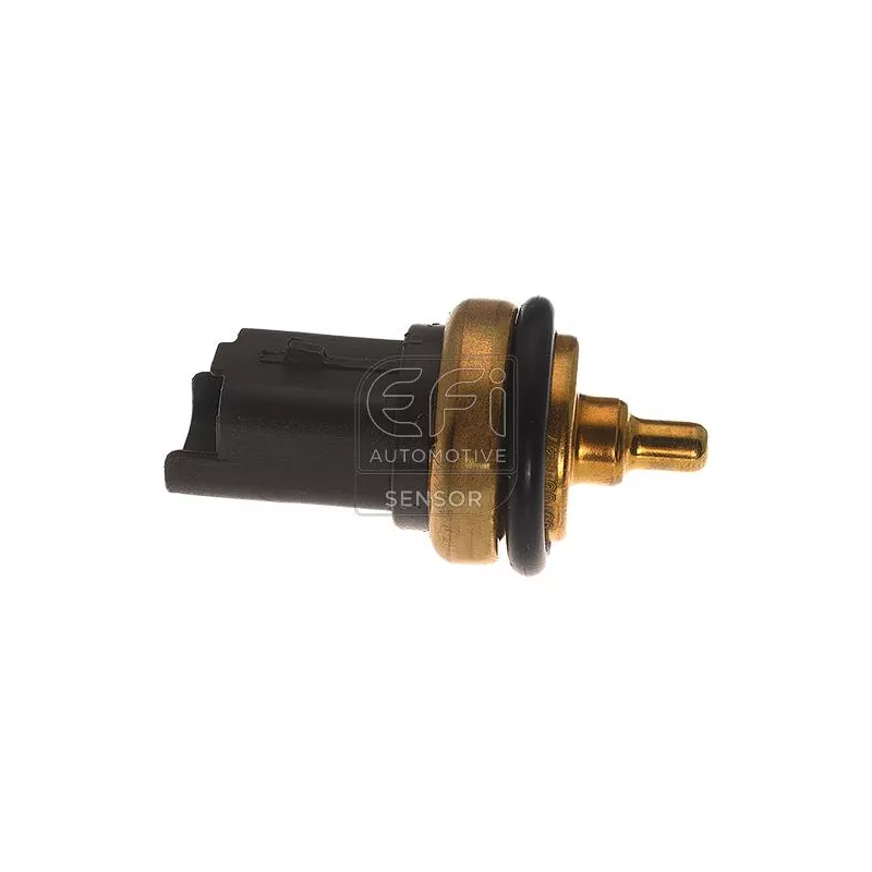 Sonde de température, liquide de refroidissement EFI AUTOMOTIVE 295144
