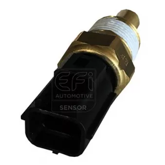 Sonde de température, liquide de refroidissement EFI AUTOMOTIVE 295159