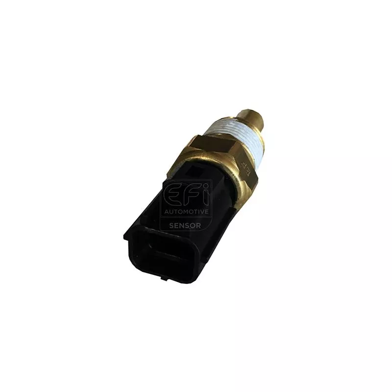 Sonde de température, liquide de refroidissement EFI AUTOMOTIVE 295159