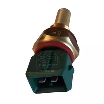 Sonde de température, liquide de refroidissement EFI AUTOMOTIVE