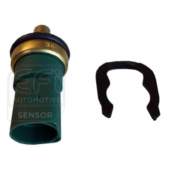 Sonde de température, liquide de refroidissement EFI AUTOMOTIVE 295165