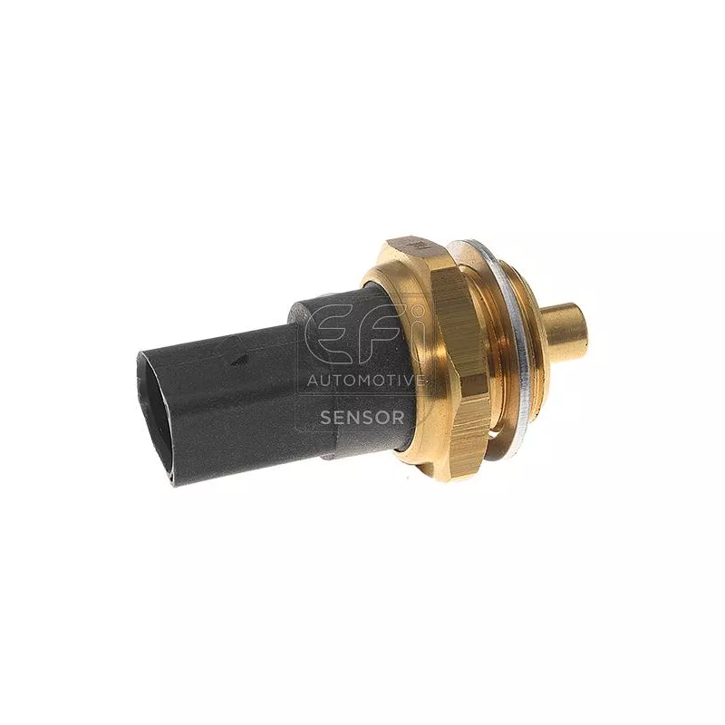 Sonde de température, liquide de refroidissement EFI AUTOMOTIVE 295168