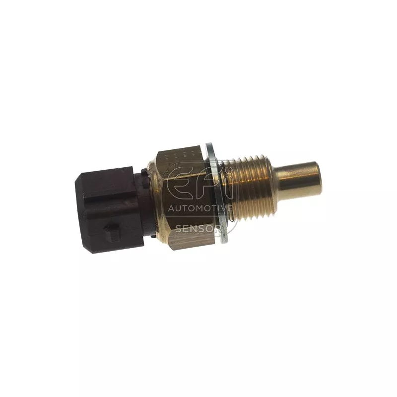 Sonde de température, liquide de refroidissement EFI AUTOMOTIVE 295172