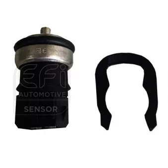 Sonde de température, liquide de refroidissement EFI AUTOMOTIVE 295175