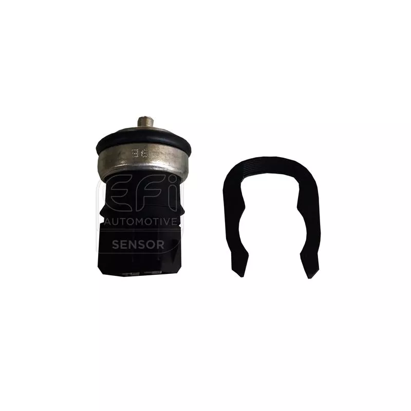 Sonde de température, liquide de refroidissement EFI AUTOMOTIVE 295175