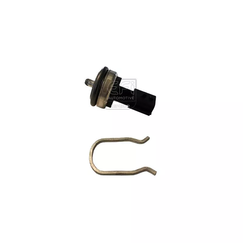 Sonde de température, liquide de refroidissement EFI AUTOMOTIVE 295176