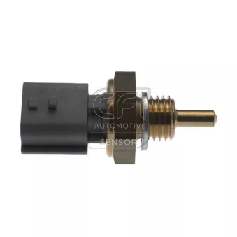 Sonde de température, liquide de refroidissement EFI AUTOMOTIVE 295199