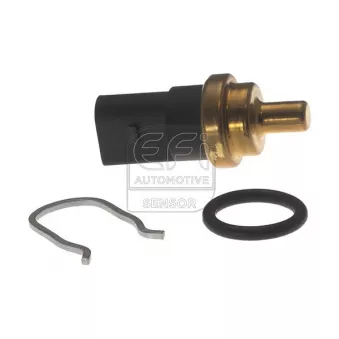 Capteur, température de carburant EFI AUTOMOTIVE 295203