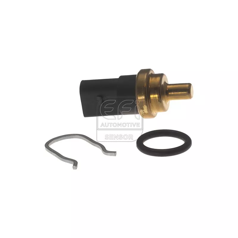Capteur, température de carburant EFI AUTOMOTIVE 295203