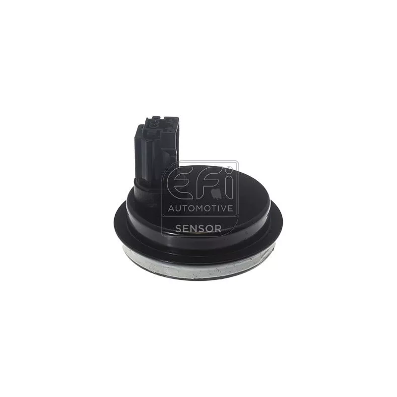 Capteur, vitesse de roue EFI AUTOMOTIVE 302431