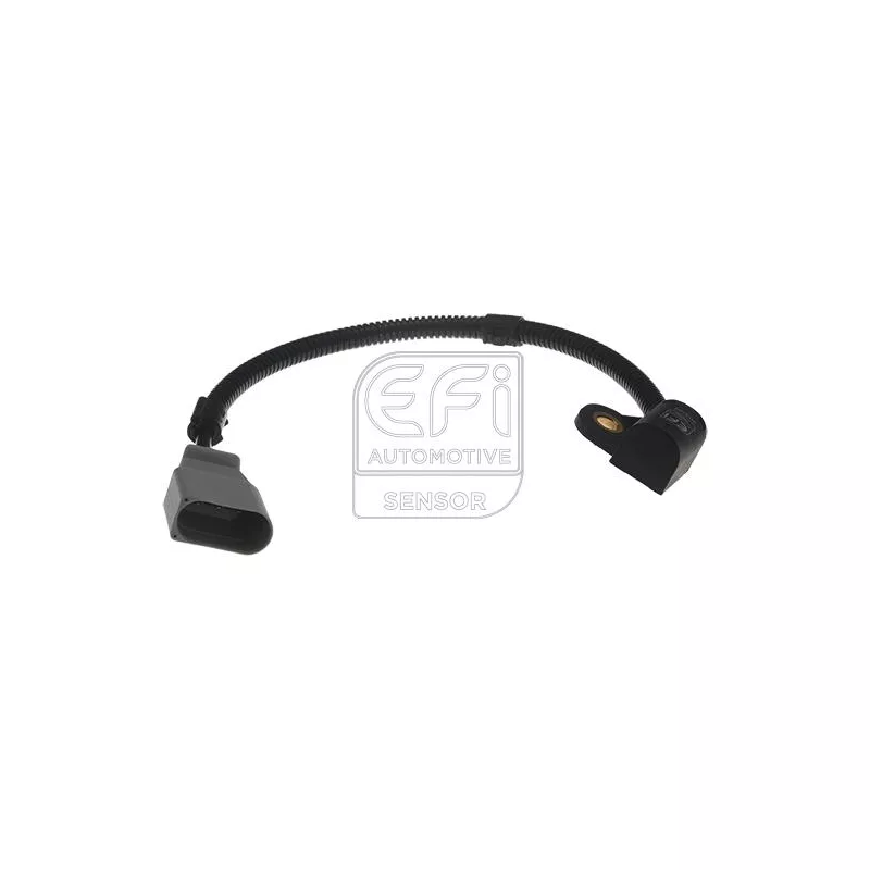 Capteur, position d'arbre à cames EFI AUTOMOTIVE 303304