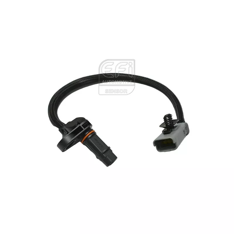 Capteur de vitesse de roue, transmission manuelle EFI AUTOMOTIVE 303392