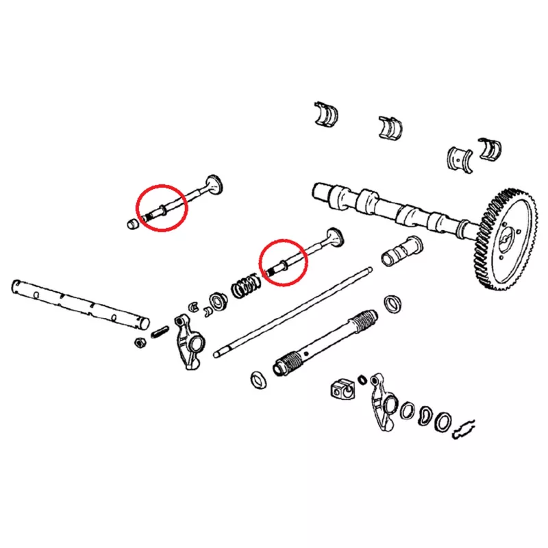 Joint guide soupape (8mm) YOUNG PARTS 1737-050