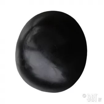 Capuchon pour boulon de pare-chocs (Noir) YOUNG PARTS 0076-102