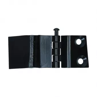 Charnière de porte de compartiment de chargement YOUNG PARTS 0156-850