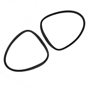 Joints vitre arrière standard - paire YOUNG PARTS 0329