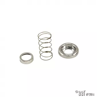 Kit collerettes et ressort pour poignée toit ouvrant YOUNG PARTS 0385-590