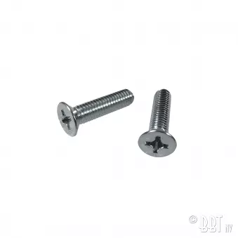 Vis pour spi centrage porte (paire) YOUNG PARTS 0438-315