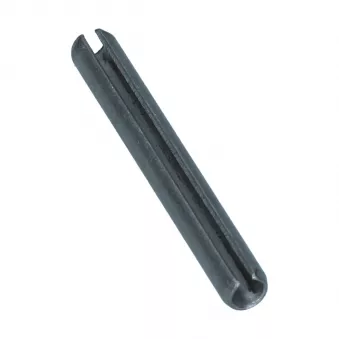 Axe charnière porte latérle - Inox YOUNG PARTS 0475-650