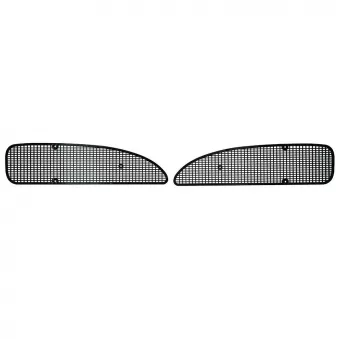 Grillage pour entrée d'air avant (paire) YOUNG PARTS 0489-100