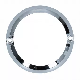 Boîtier de clignotant gauche YOUNG PARTS 0616-311