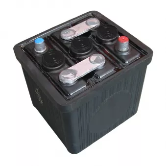 Batterie 6V, vide, 66 Ah YOUNG PARTS 0637