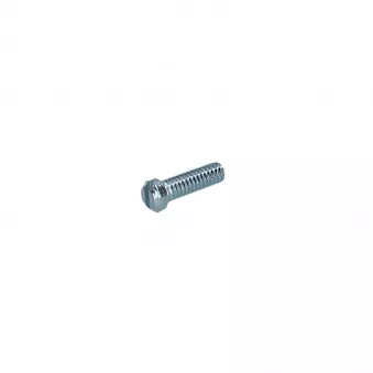 Vis commutateur dans support YOUNG PARTS 0669-415