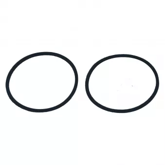 Joint verre clignoteur avant (paire) YOUNG PARTS 0759-421