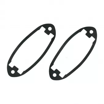 Joint de lentille eclairage de plaque (paire) YOUNG PARTS 0759-61