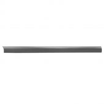 Cache glissière porte coulissante, droite (RHD) YOUNG PARTS 0891-892