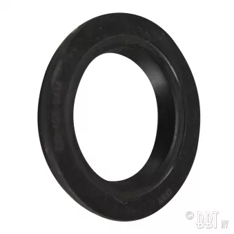 Bourrage roulement avant - Coxs 08/66-07/68, Type 3 08/65-07/67 (disque) YOUNG PARTS 1363-010