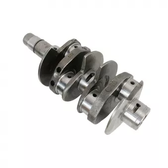 Vilebrequin avec contrepoids 69mm +0.50/+0.25 bielle YOUNG PARTS 1600-020-010