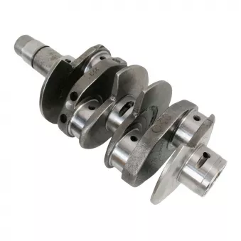 Villebrequin avec contrepoids 69mm +0.50/+0.75 bielle YOUNG PARTS 1600-020-030