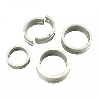 Coussinets de Villebrequin, Type 1 YOUNG PARTS 1609-025