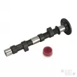Arbre a cames Engle W 100 YOUNG PARTS 1625 - Visuel 1