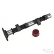 Arbre a cames Engle VZ 14 YOUNG PARTS 1629-10 - Visuel 1