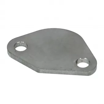 Plaque fermeture pompe à essence Type4 - inox YOUNG PARTS 1691-400